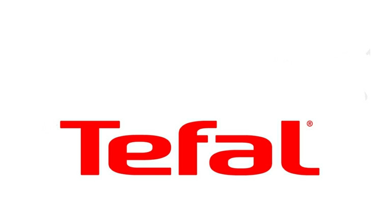 اتو بخار دستی تفال مدل TFL-3510
